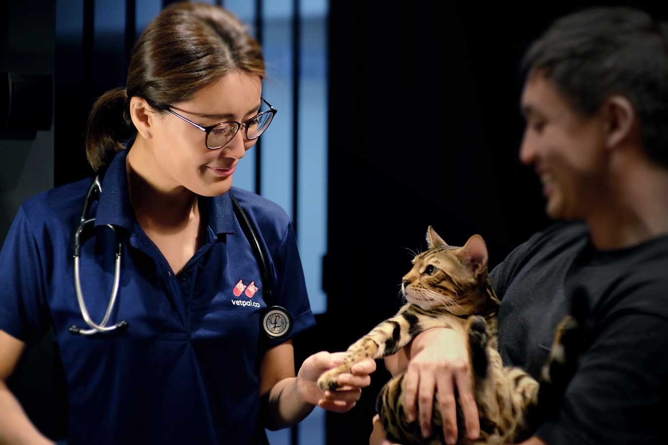 Housecall Vet Services are Now Possible in Singapore with VetPal!