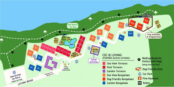 Unleash the Fun This Weekend with CSC @ Loyang Open House