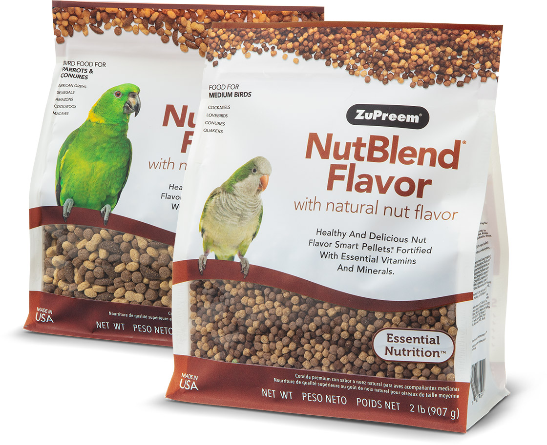 4 Benefits of Feeding Your Bird A Pellet Diet Instead of Seeds