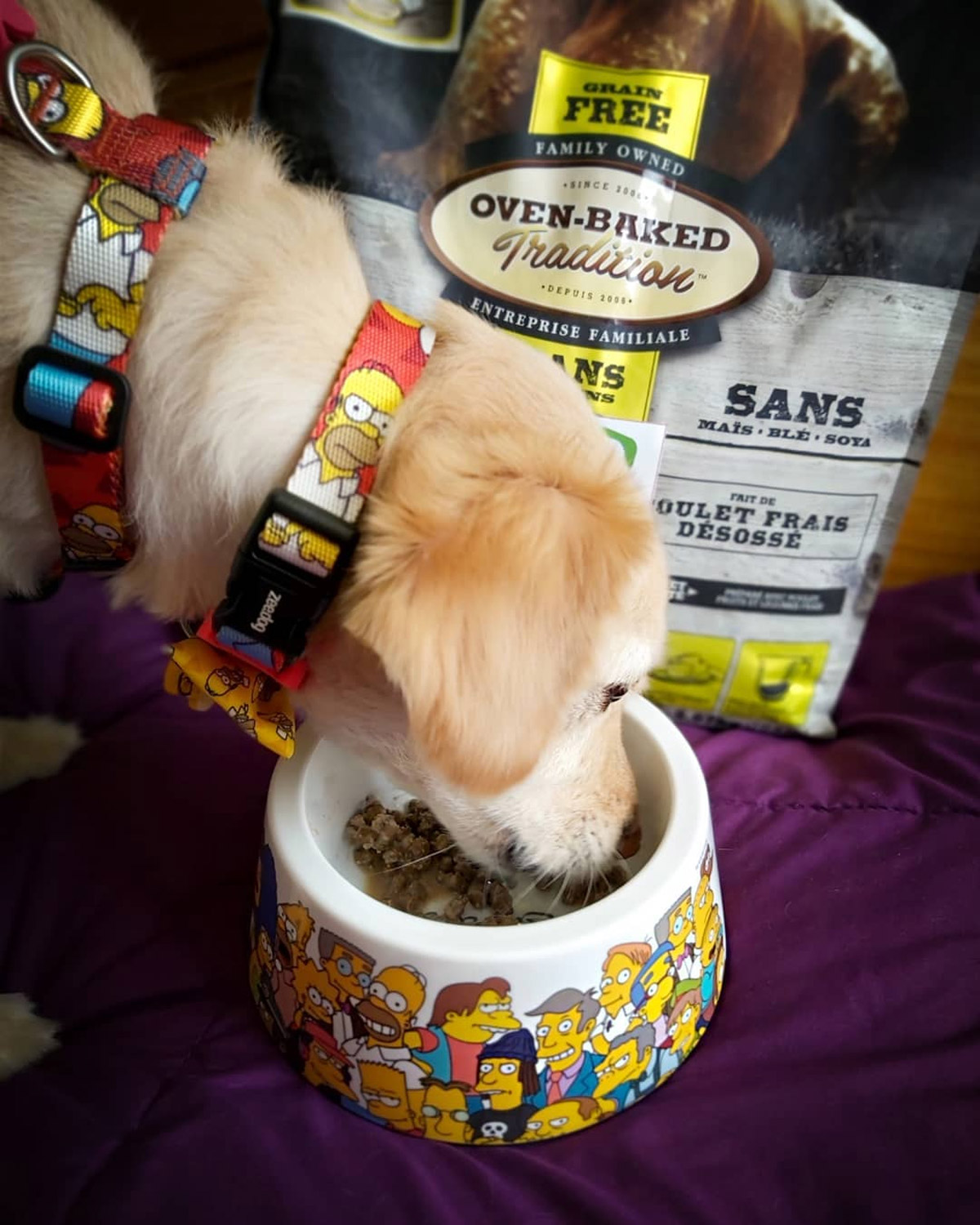 4 Reasons why your Pet Deserves Oven-Baked Pet Food (and not the Extruded Kind)