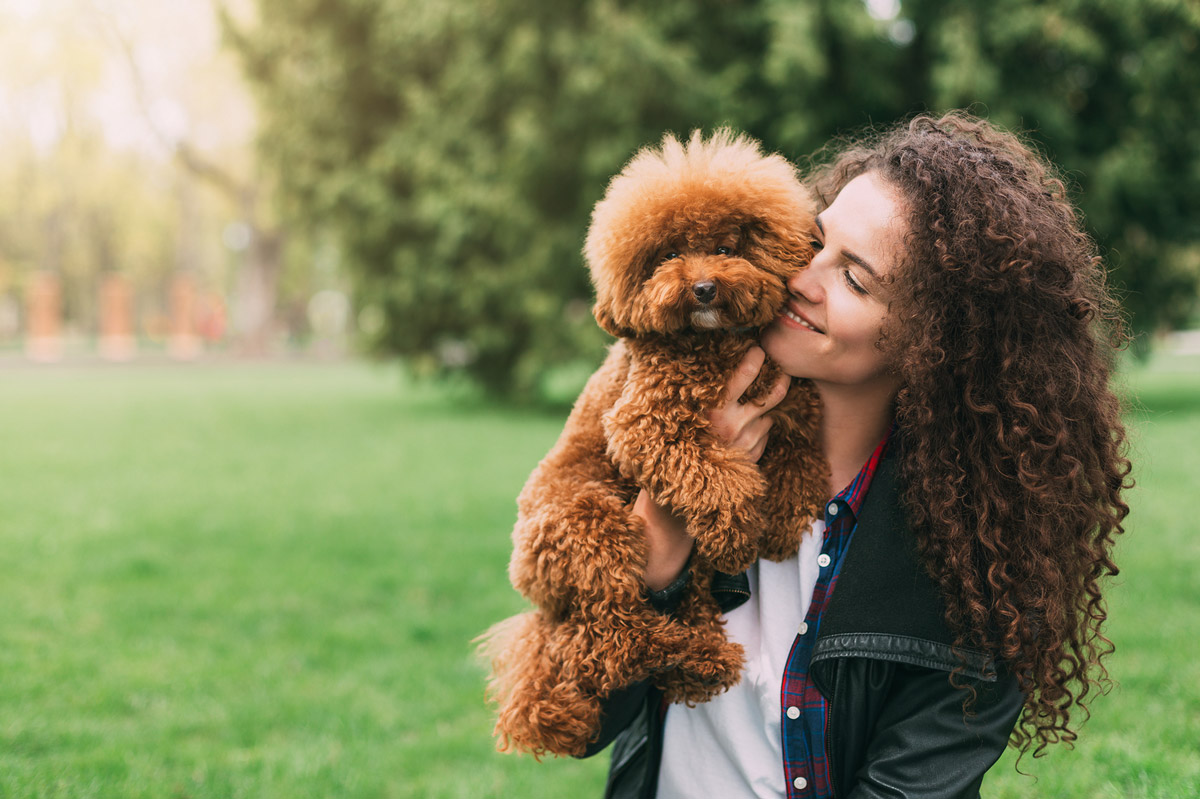 5 HDB-Approved Dog Breeds Which Provide Great Emotional Support