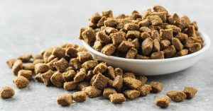 5 Myths About Pet Kibbles, Debunked