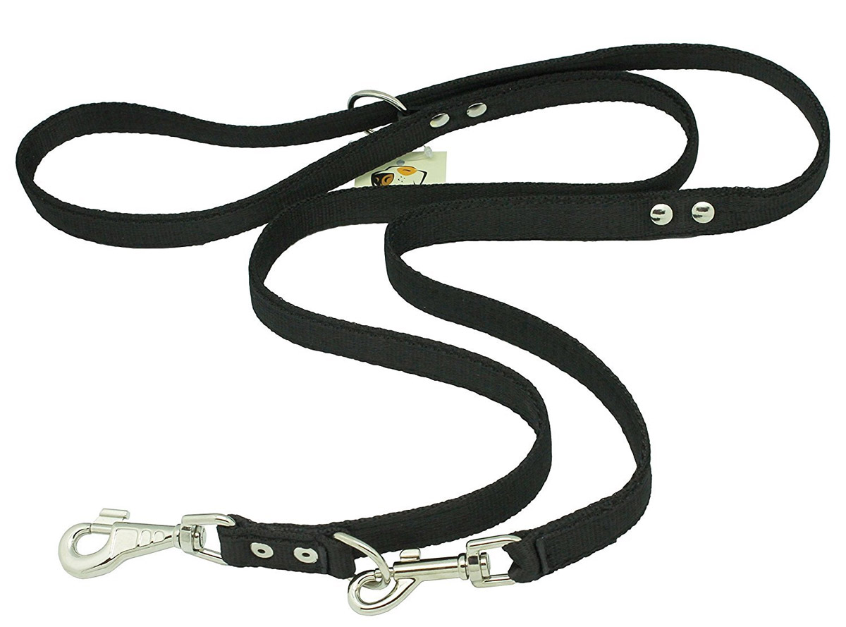 How to Choose the Right Leash for Your Dog?