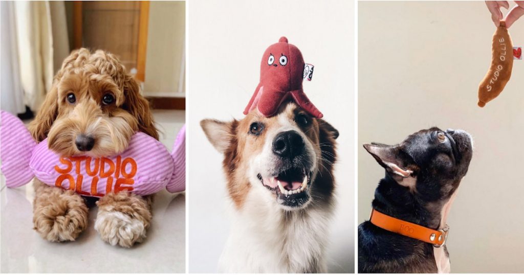 The Importance of Nose Work Toys from Woof Living & Why Your Dog Needs One