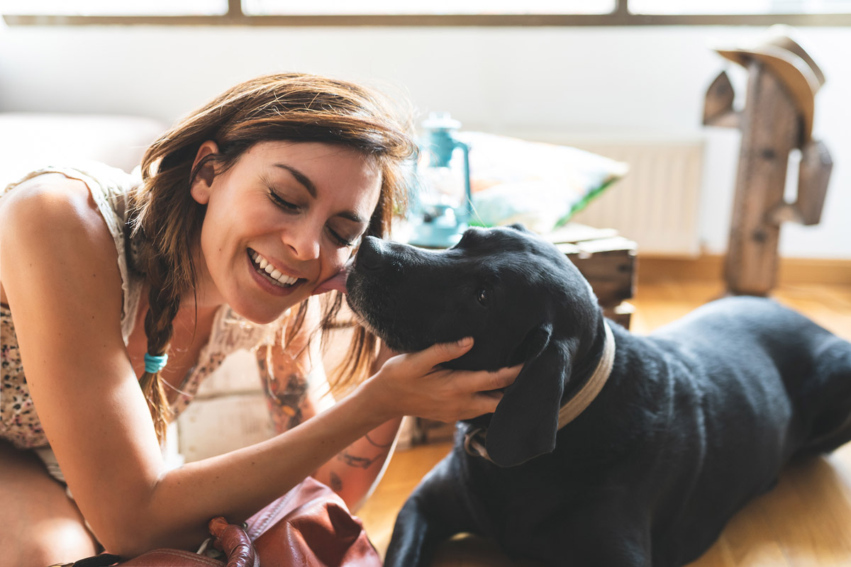 5 Interesting Reasons Why Your Dog is Howling