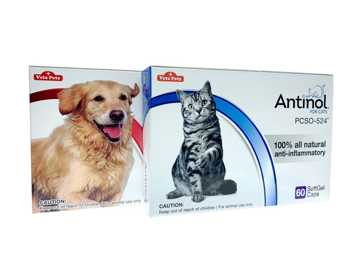 Are You Caring for Your Dog & Cat’s Joints Properly?