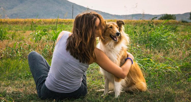 4 Surprising Similarities Between Dogs and Their Owners