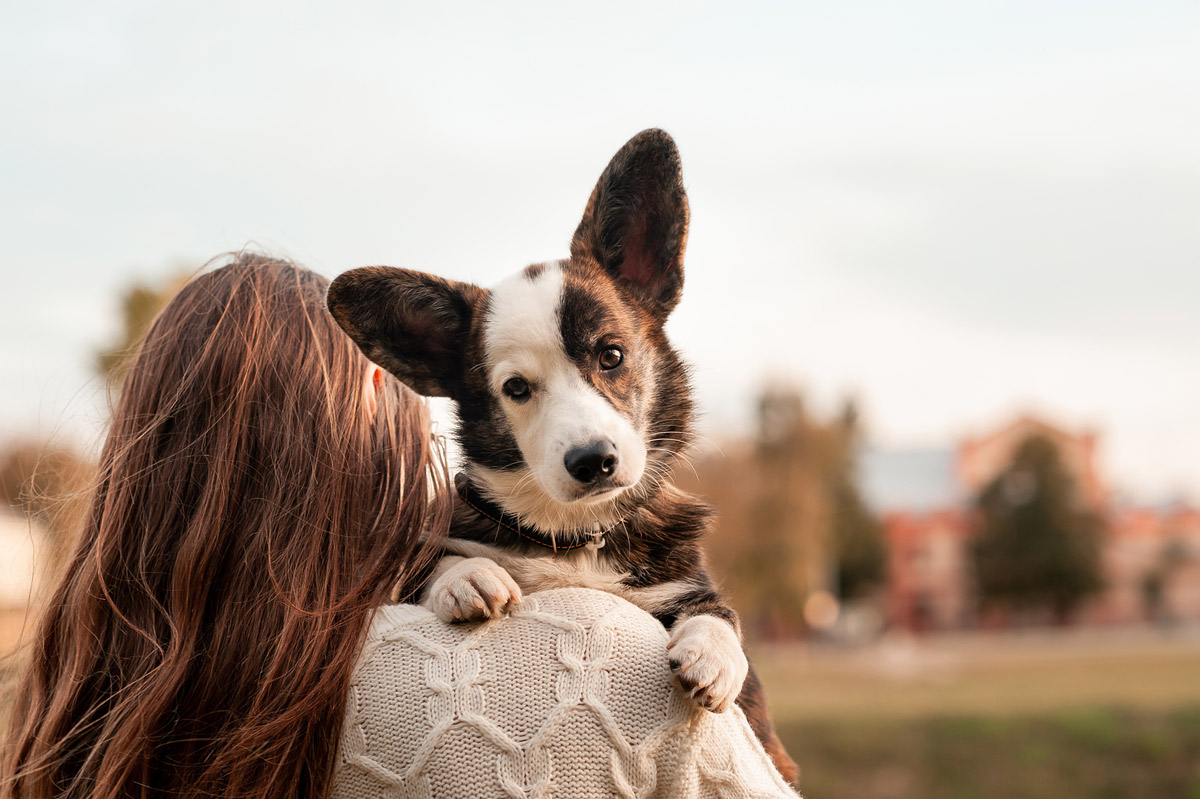 4 Surprising Similarities Between Dogs and Their Owners