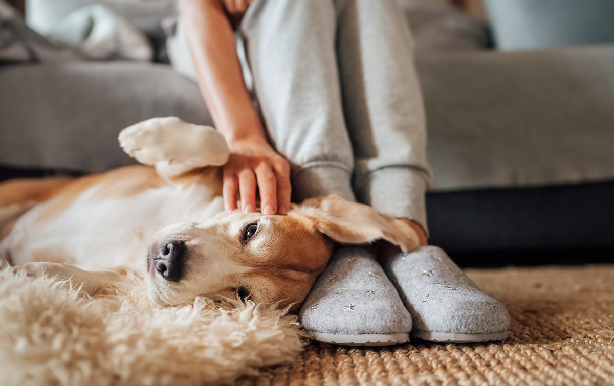 4 Surprising Similarities Between Dogs and Their Owners