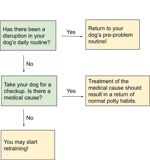 Can You Retrain A Dog to Use the Toilet Indoors?