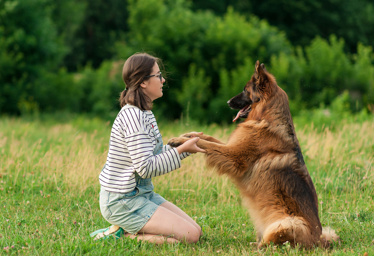 How to Tell if Your Dog has Joint Problems