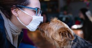 5 Illnesses That Pets Can Contract From Humans