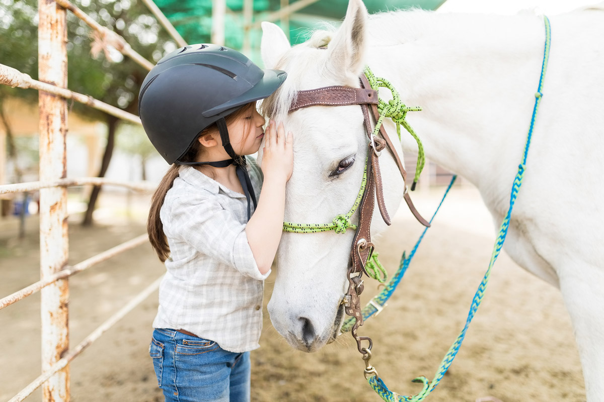 Animal-Assisted Therapy: Benefits & Effectiveness