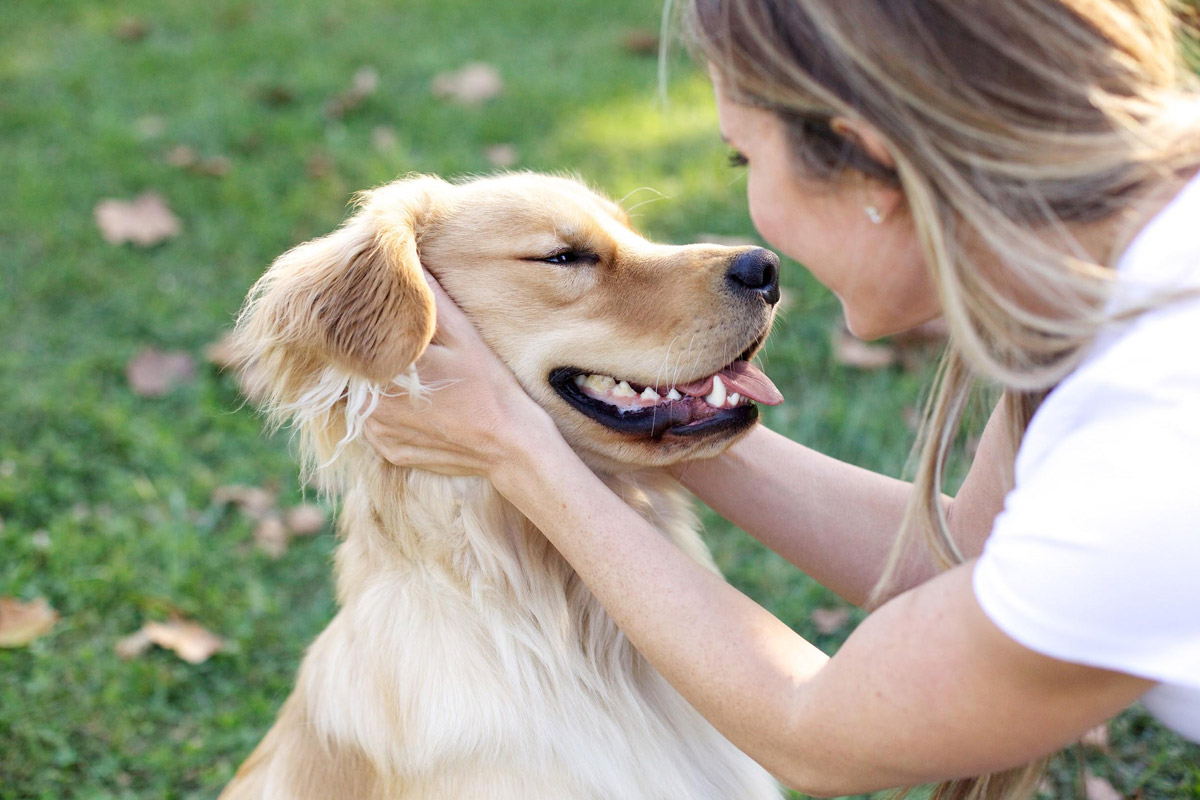 5 Scary Truths Behind Your Dog's Bad Breath