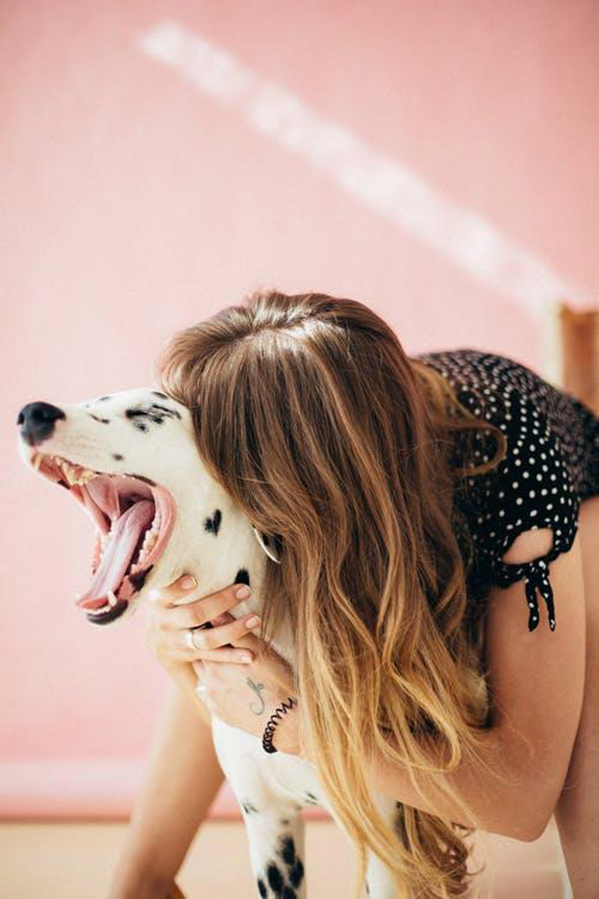 How Attached are You to Your Pet?