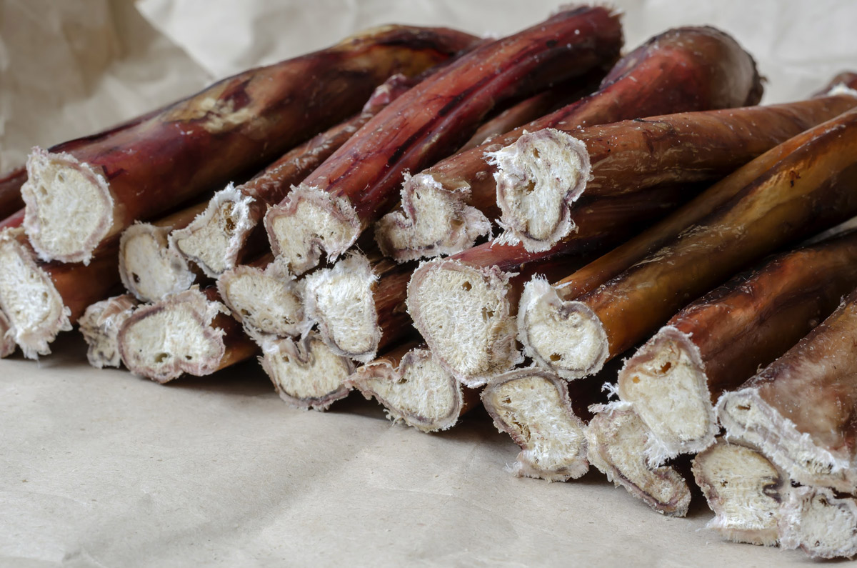 Feeding Dogs Soft Bones: Is it Safe & How Does it Compare to Other Animal-Based Dog Chews?