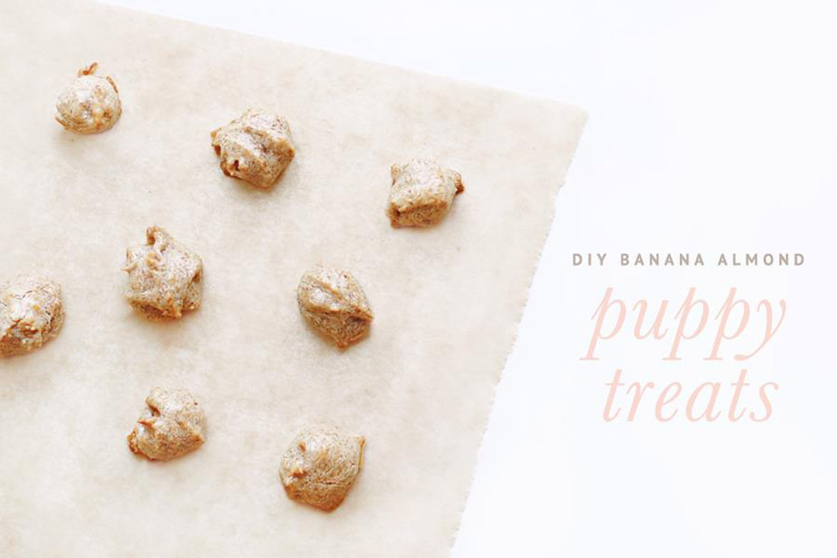 5 Simple Baked Dog & Cat Treats That You Can DIY at Home