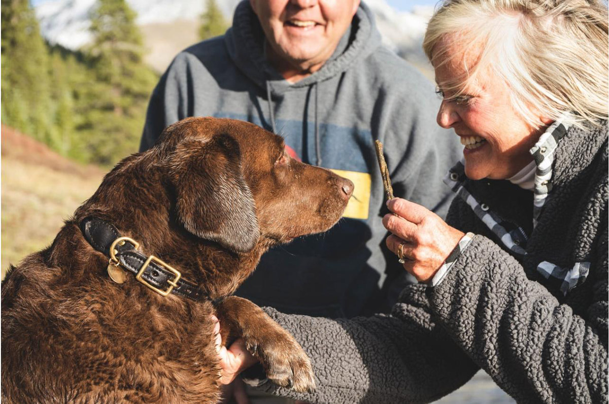 Know Someone Terrified Of Dogs? Here’s How You Can Help Them Overcome it