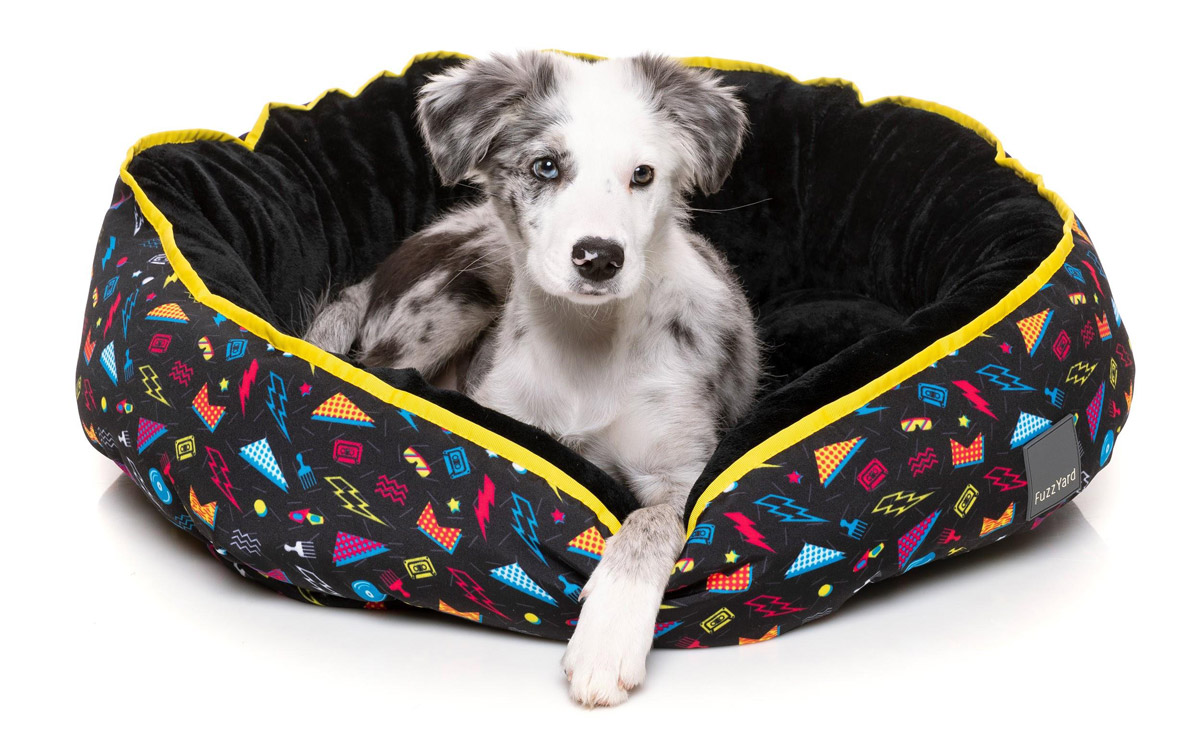 A Guide to Finding the Perfect Christmas Gift for Your Big Dog