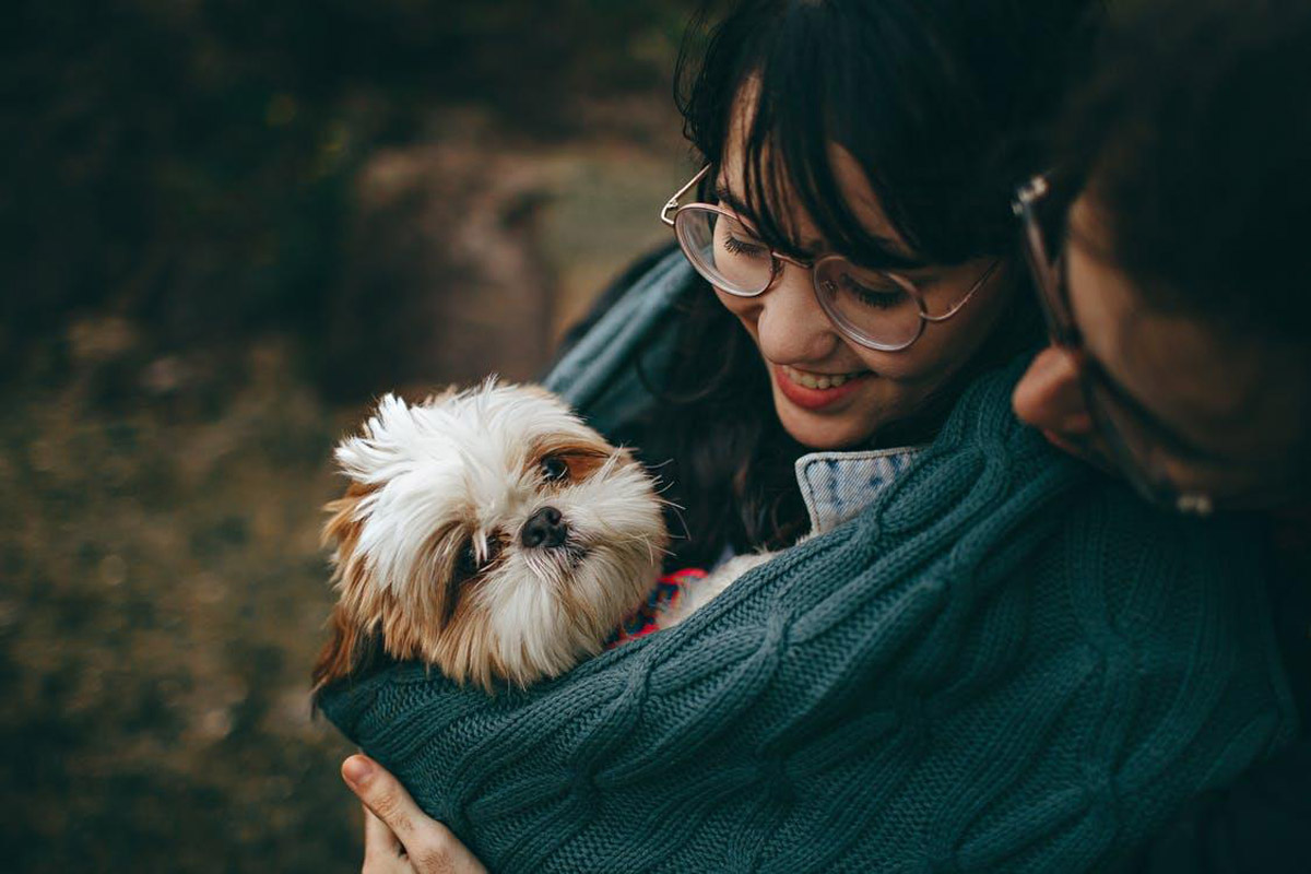 Silent Killers That Often Go Undetected in Dogs Until It's Too Late