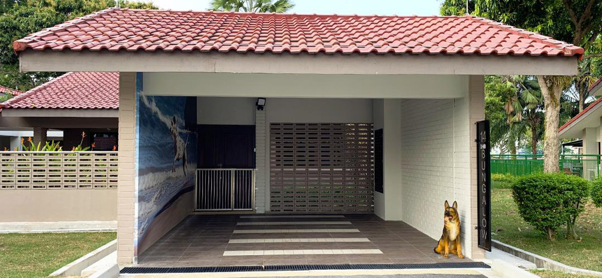 5 Dog-Friendly Activities in Singapore for a Pawsome Time