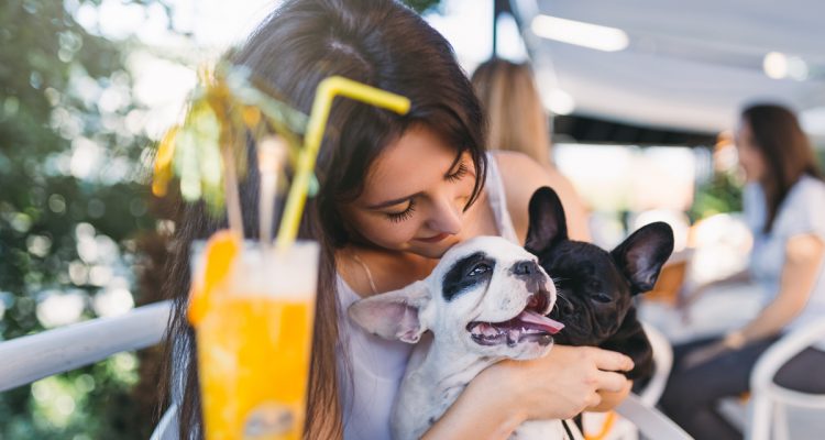 5 Pet-Friendly Cafes in Singapore To Snap Pics for the Gram