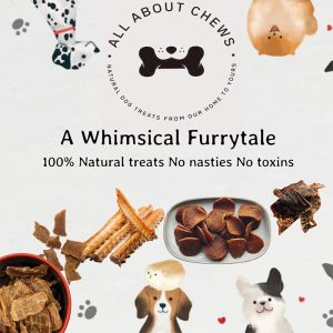 A Whimsical Furrytale by Clubpets x The Star Vista | Pet Show | Pet Event | Pet Expo