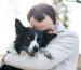 Antinol® Rapid Your Pet’s Newly Improved Go-To Supplement