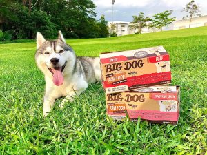 Big Dog Pet Food The Secret To Your Pet’s Glowing Health