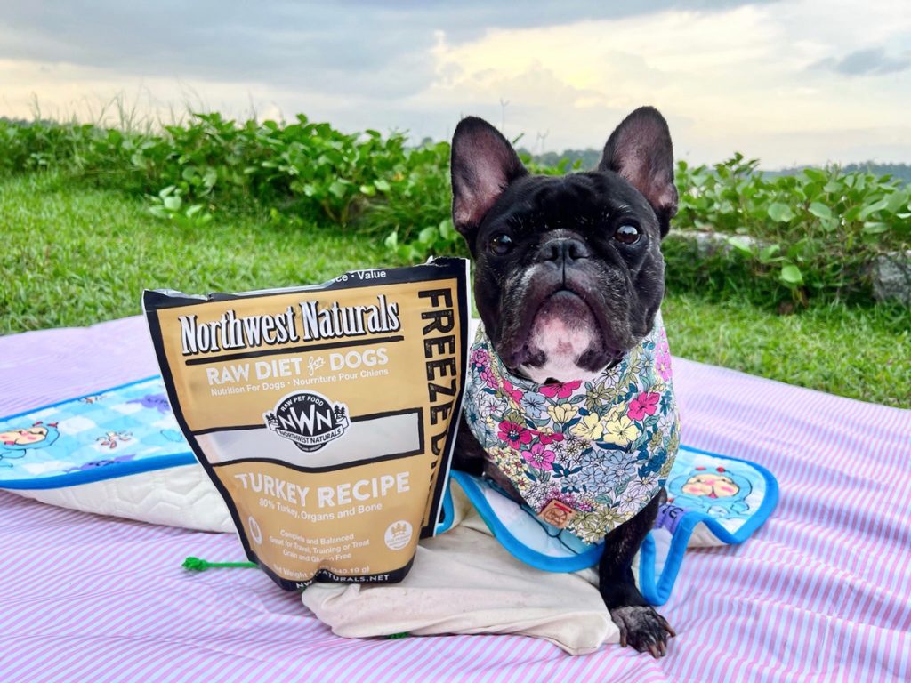 Boo’s Favourite Pet Food Northwest Naturals