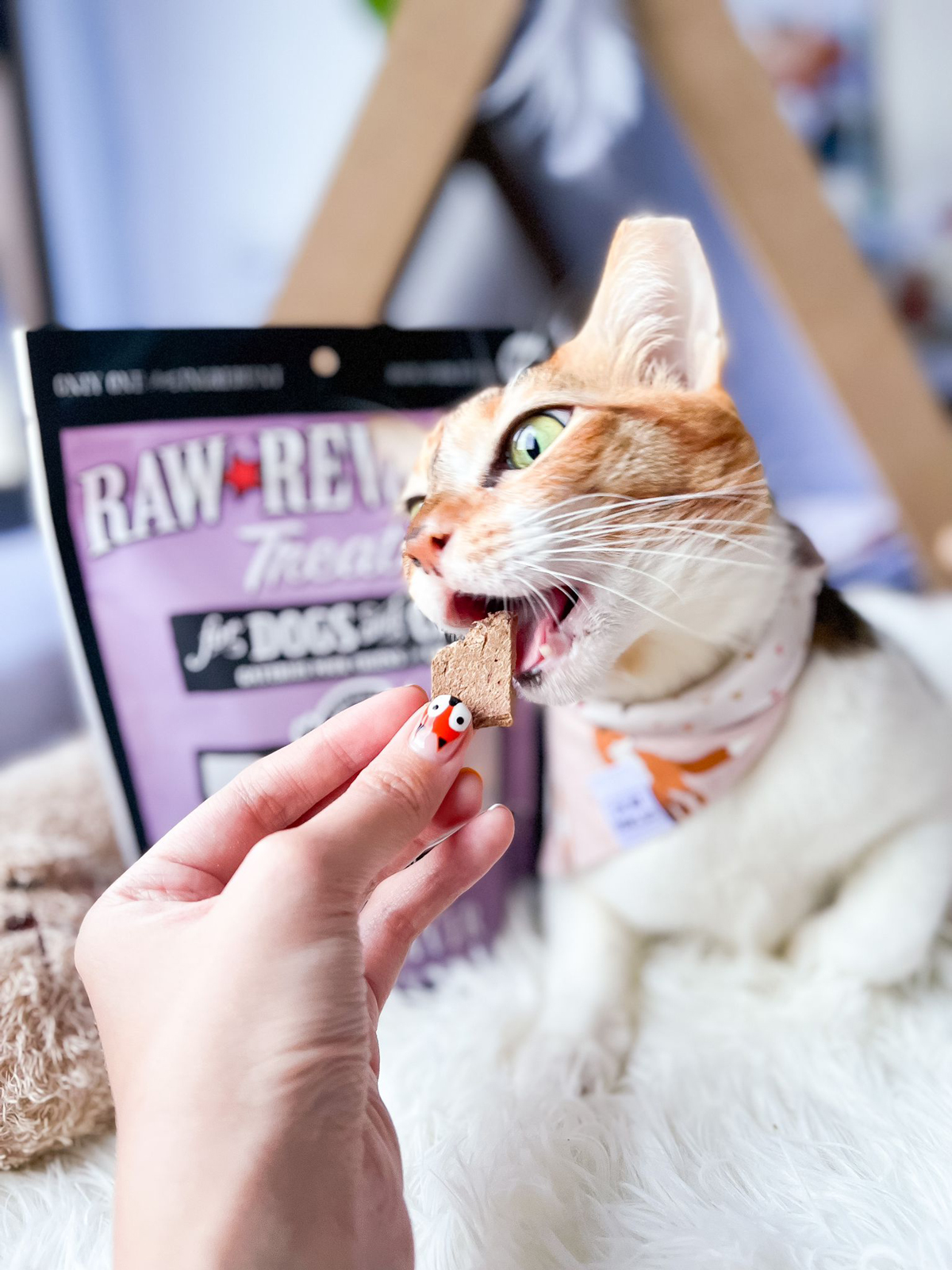 Gojiberry’s Love Affair with Northwest Natural Pet Food