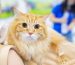 Animal lovers rejoice! PetExpo Returns Once Again