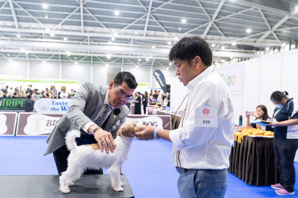 Animal lovers rejoice! PetExpo Returns Once Again