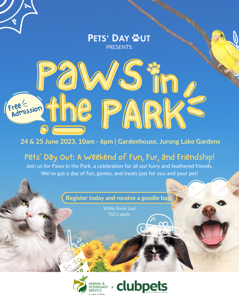 Card 1 | Paws in the park