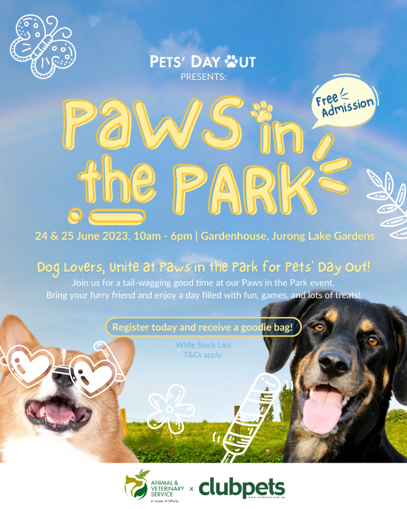 Card 2 | Paws in the park