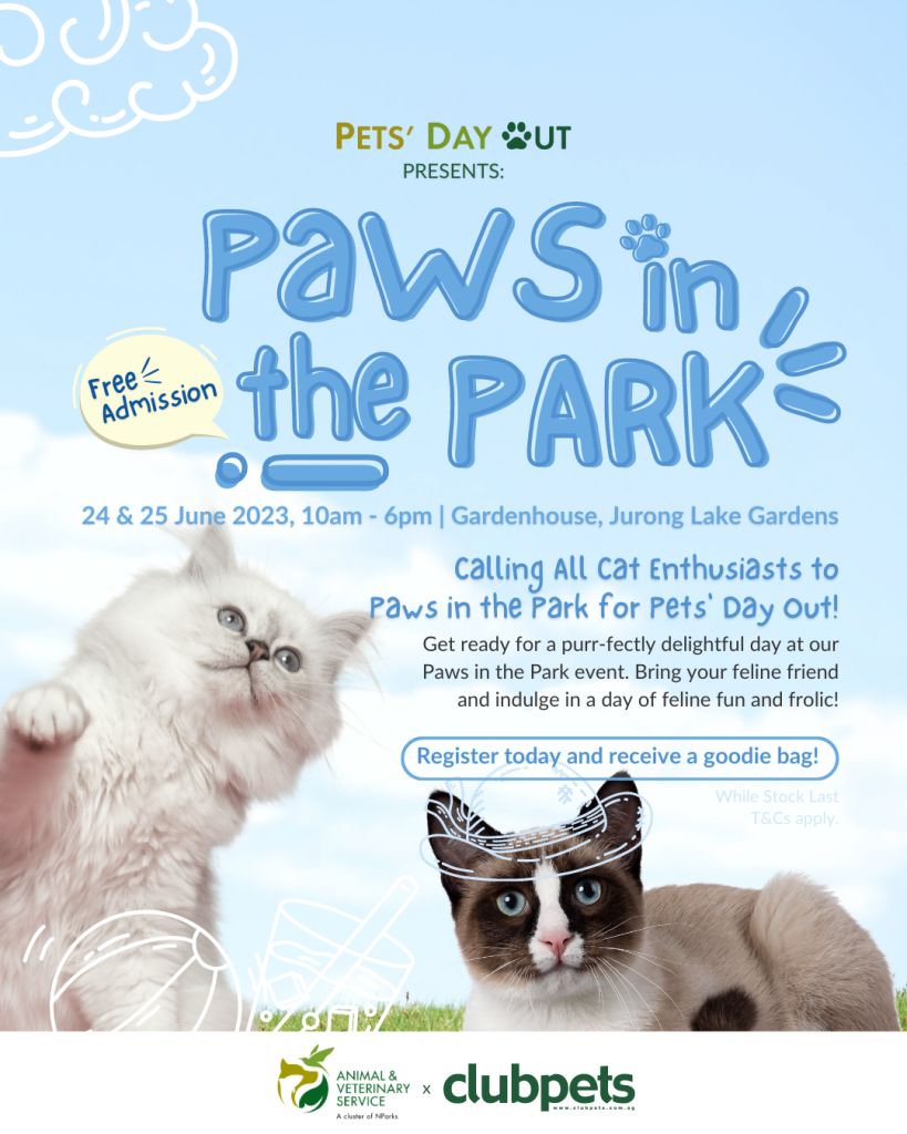 Card 3 | Paws in the park