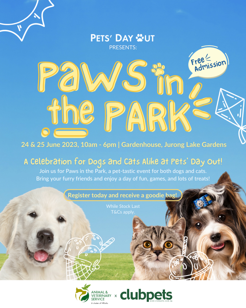 Card 4 | Paws in the park