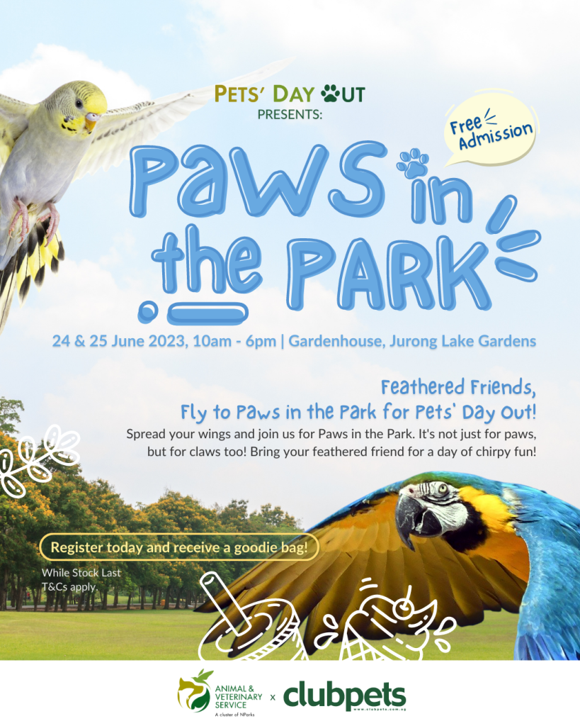 Card 4 | Paws in the park