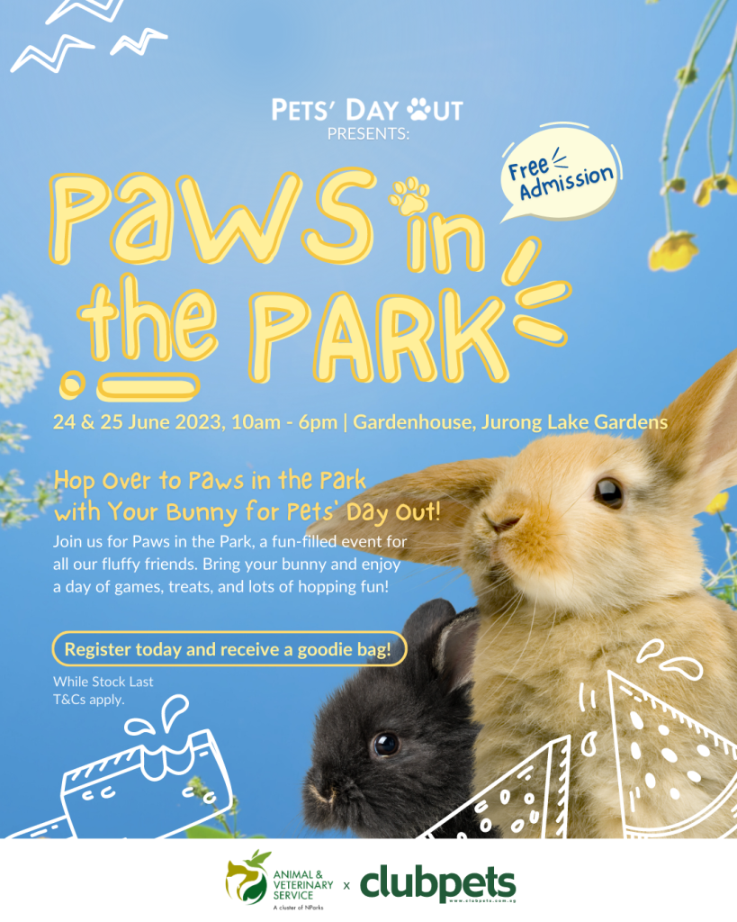 Card 5 | Paws in the park