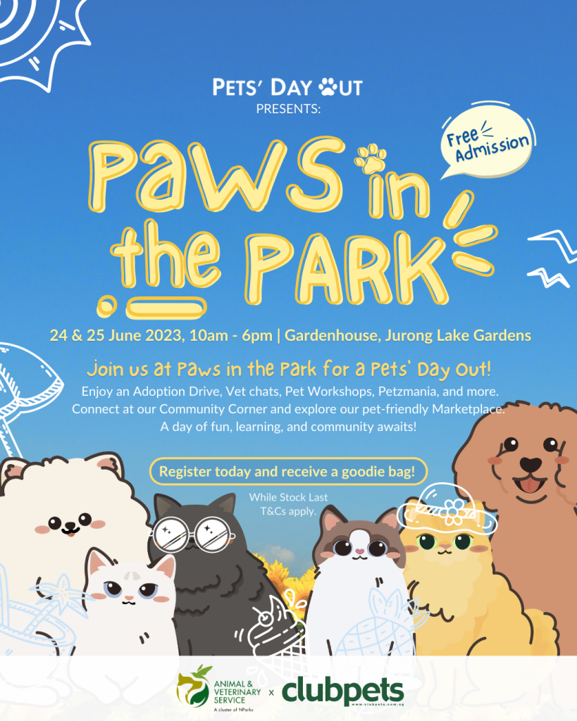 Card 6 | Paws in the park