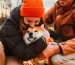 From Woofs to Words Decoding Your Dog’s Body Language