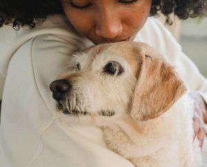 Handling pet Anxiety Strategies for a Calm and Stress-Free Pet