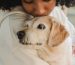 Handling pet Anxiety Strategies for a Calm and Stress-Free Pet