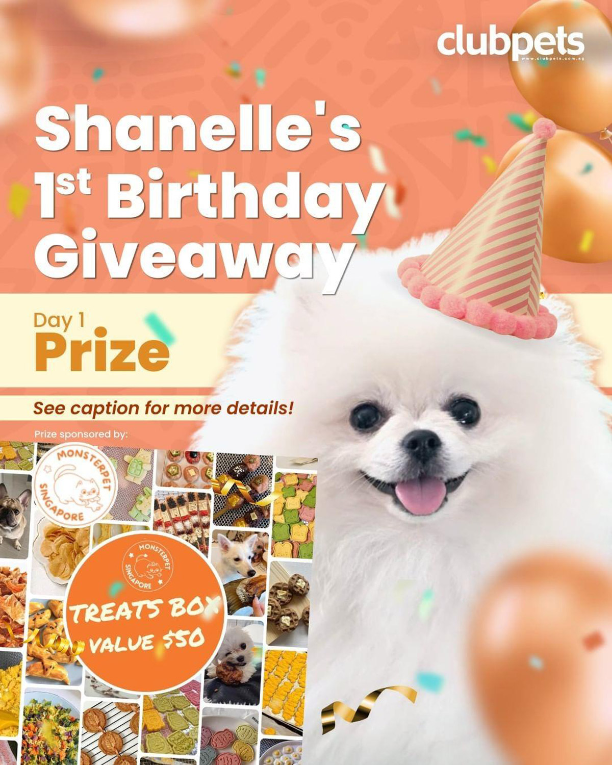 Shanelle’s 1st Birthday Bash: Relive the Best Moments with Clubpets