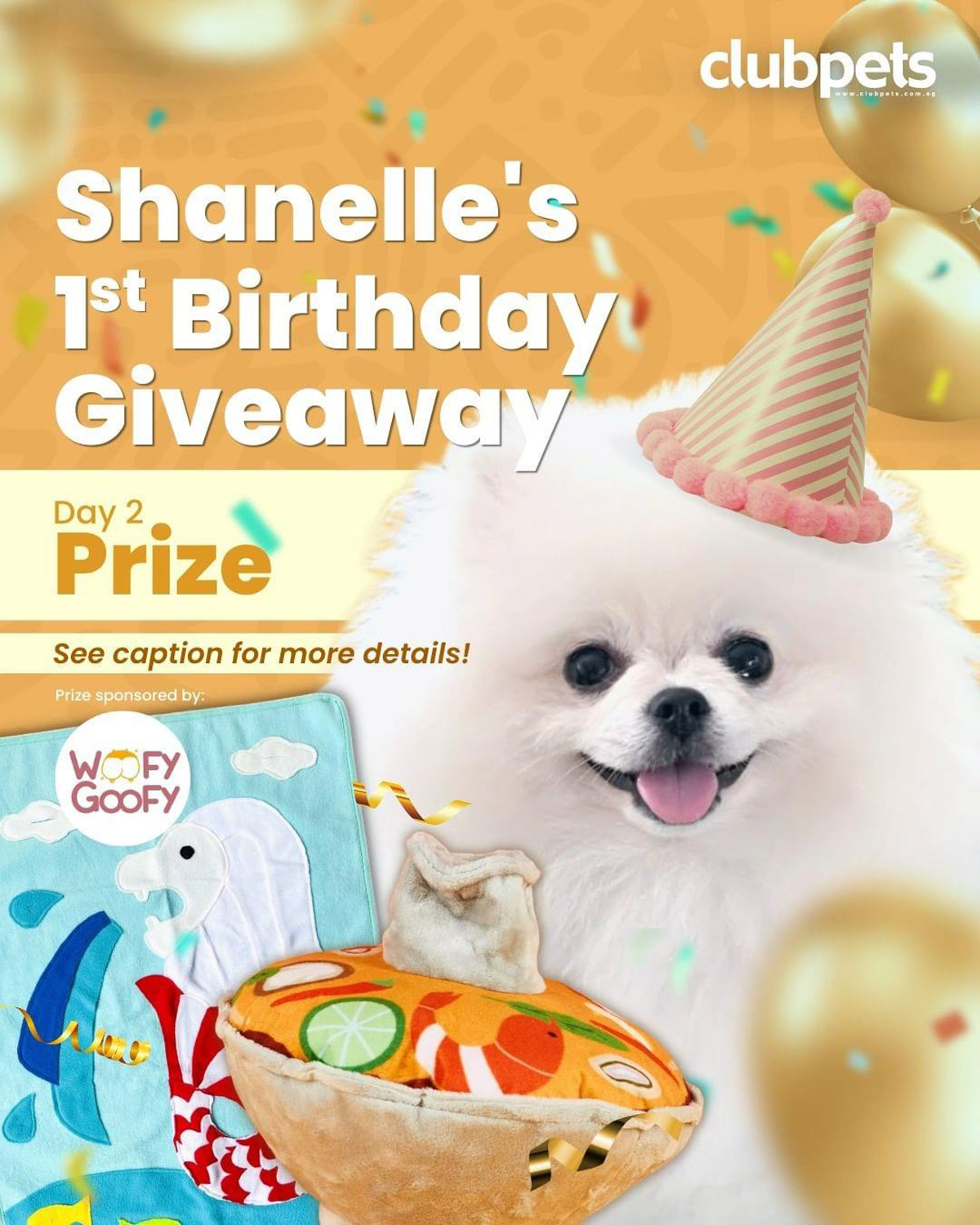 Shanelle’s 1st Birthday Bash: Relive the Best Moments with Clubpets