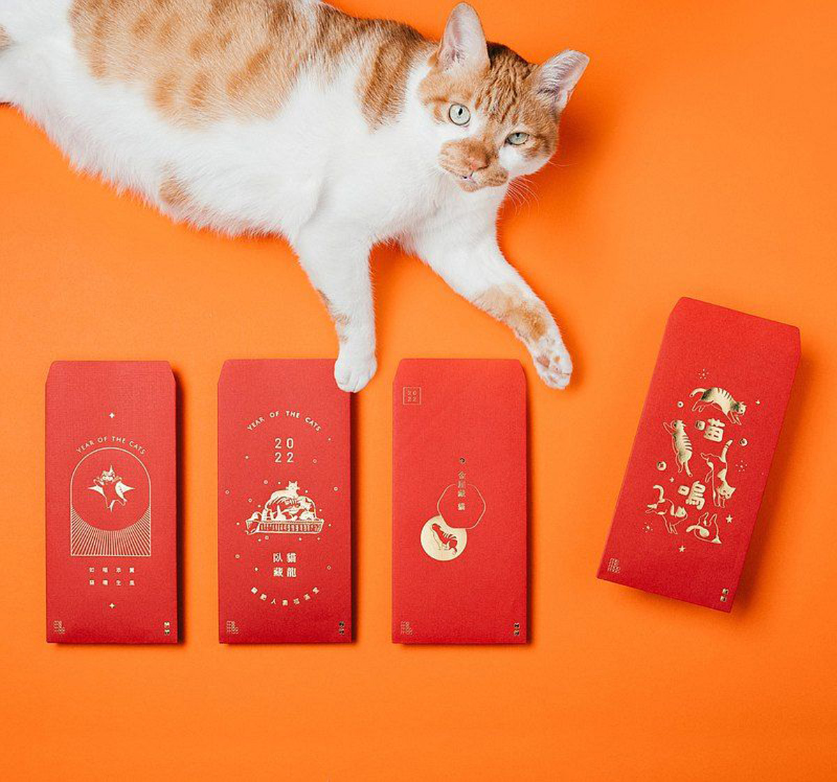 4 Fun Ideas for a Chinese New Year Celebration with Your Furkids!