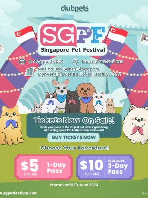 SG Pet Festival 2024
