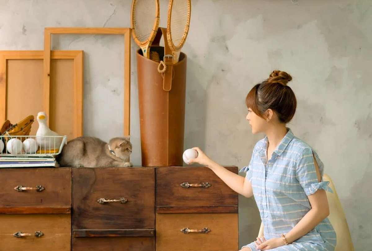 How To Keep Your Pet Calm In A Busy Café Environment