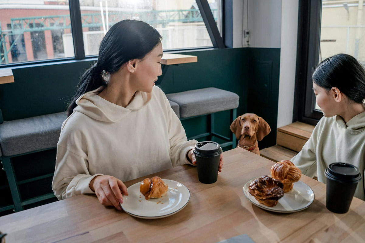 How To Keep Your Pet Calm In A Busy Café Environment