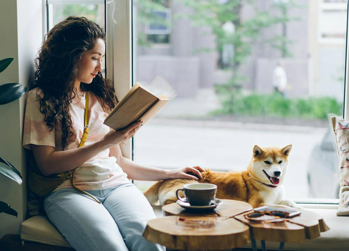 How To Keep Your Pet Calm In A Busy Café Environment